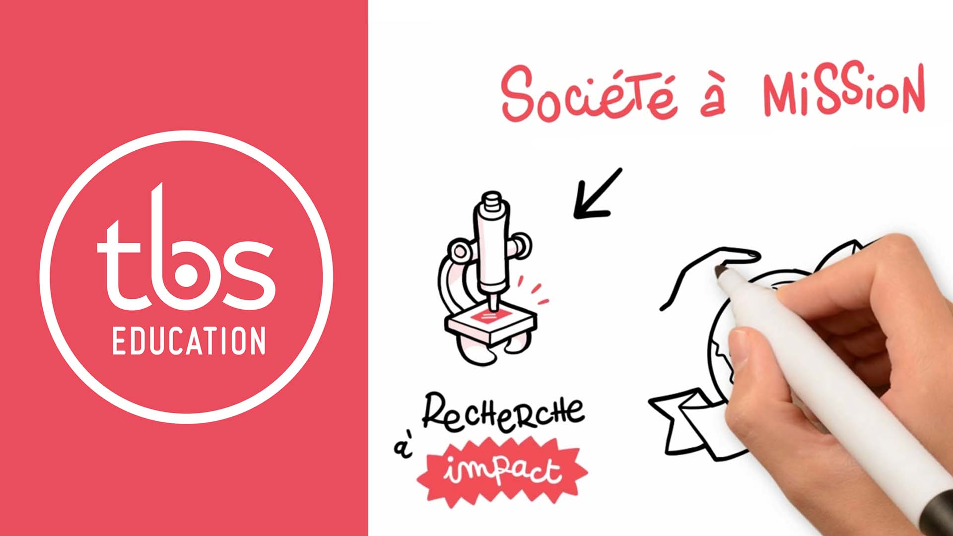 Société à mission